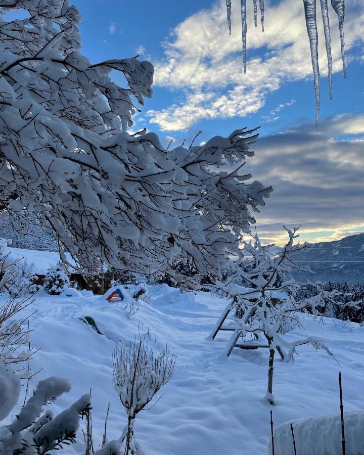 Naturgut Gailtal Sankt Stefan an der Gail ภายนอก รูปภาพ