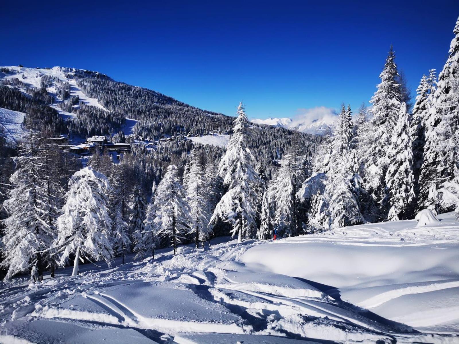 Naturgut Gailtal Sankt Stefan an der Gail ภายนอก รูปภาพ