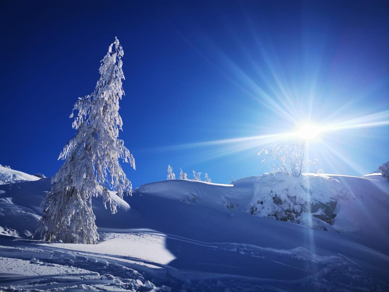Naturgut Gailtal Sankt Stefan an der Gail ภายนอก รูปภาพ