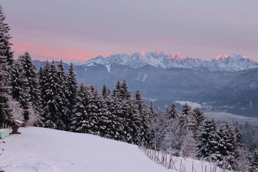 Naturgut Gailtal Sankt Stefan an der Gail ภายนอก รูปภาพ