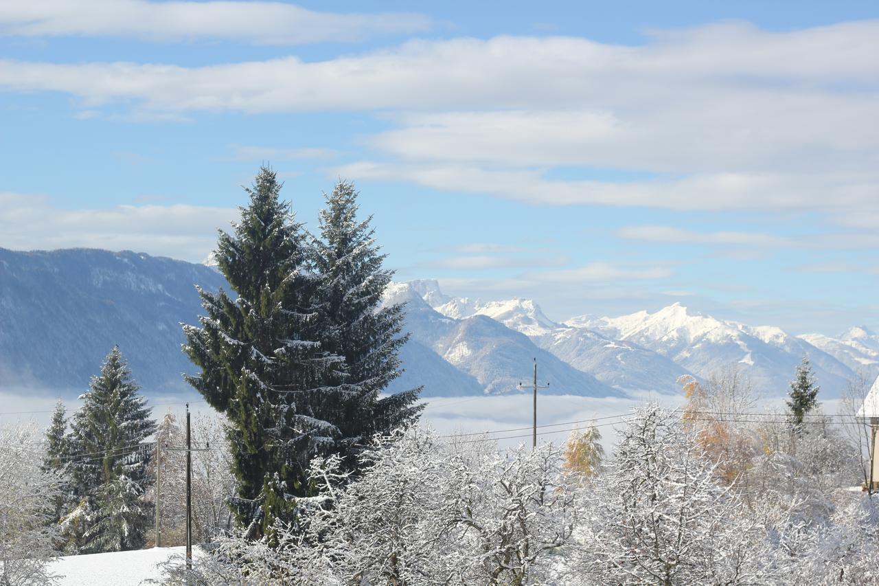 Naturgut Gailtal Sankt Stefan an der Gail ภายนอก รูปภาพ